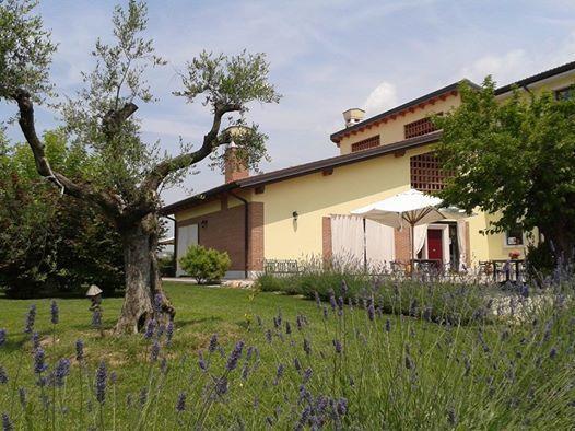Hotel Agriturismo Anna Caterina Castelnuovo del Garda Exteriér fotografie