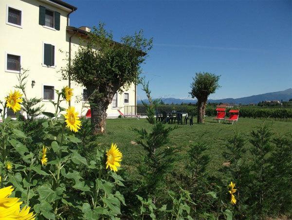 Hotel Agriturismo Anna Caterina Castelnuovo del Garda Exteriér fotografie